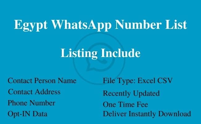 Egypt WhatsApp Number List